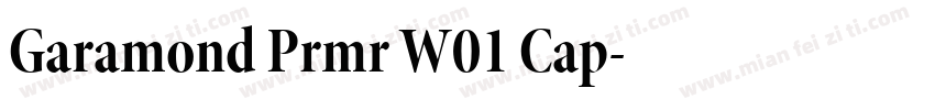 Garamond Prmr W01 Cap字体转换